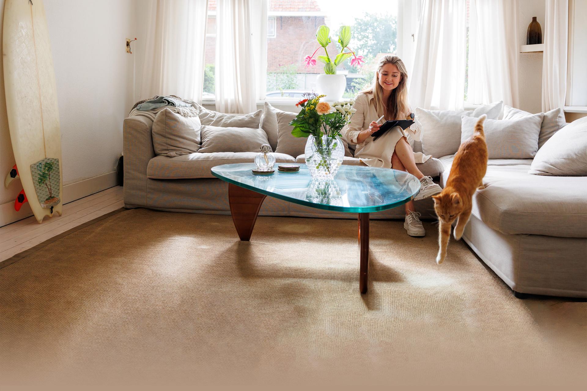 Bo-Iris Bergevoet, Commissaris bij Wold & Waard