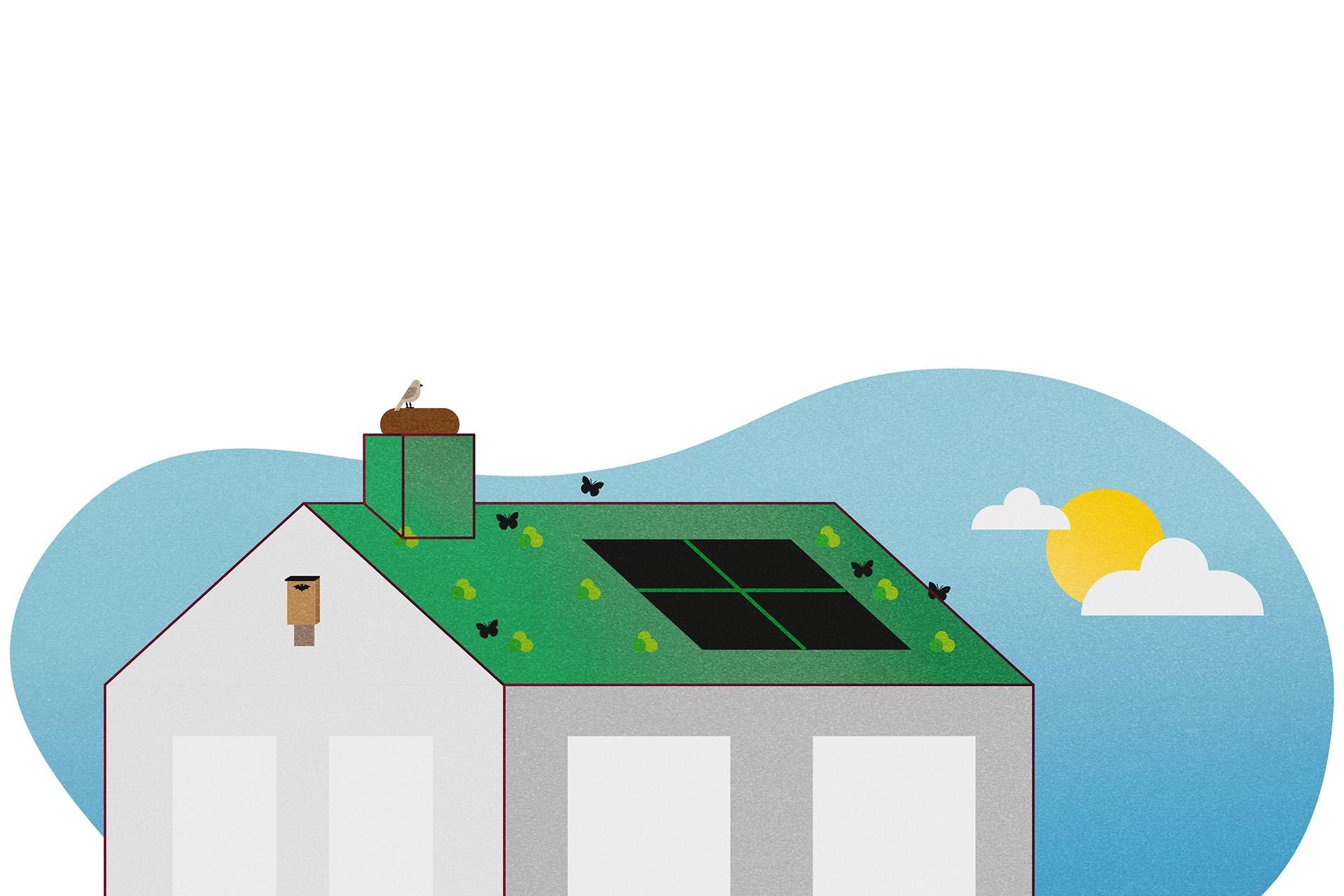 Illustratie groen dak
