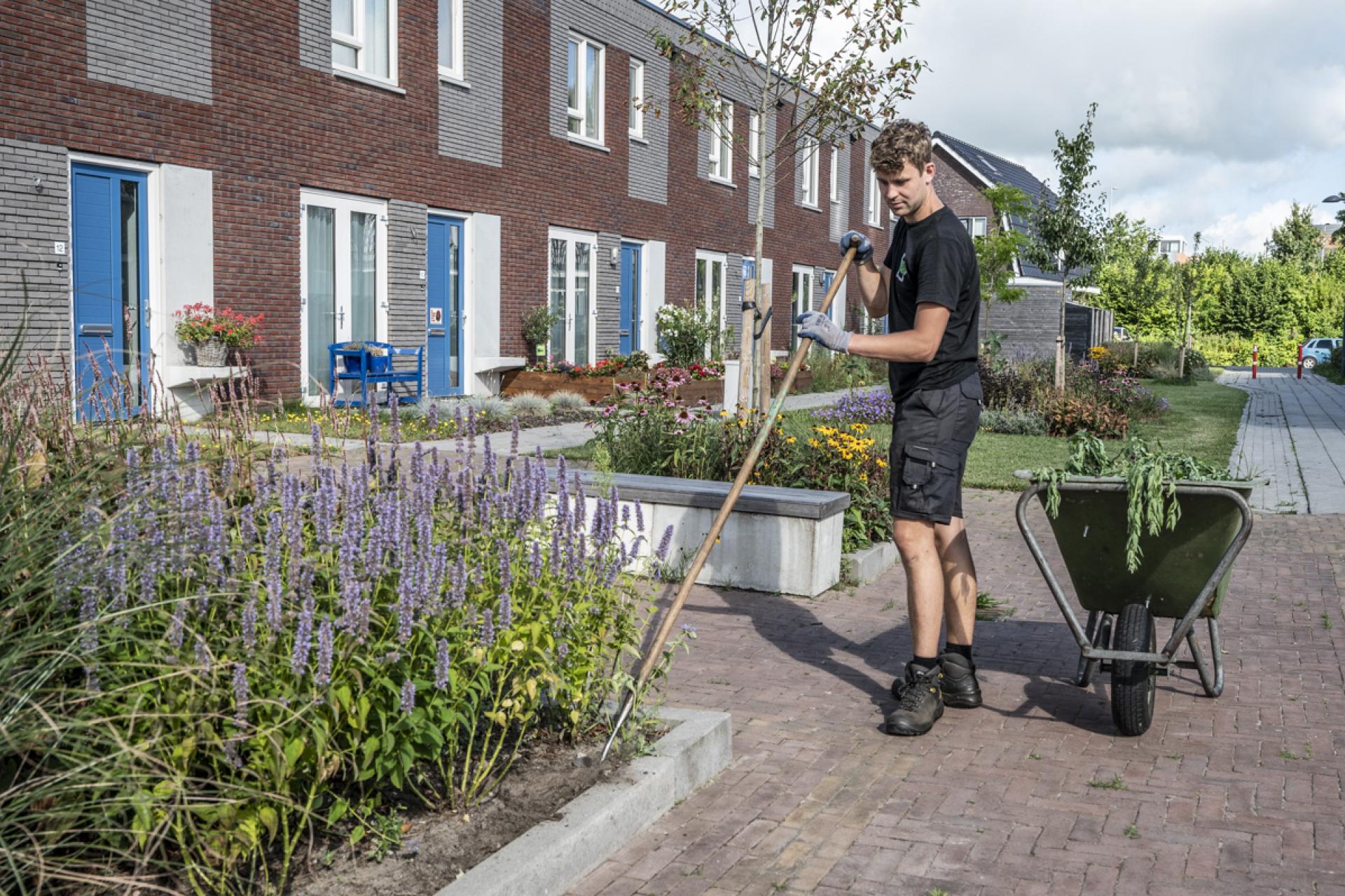 Man harkt in voortuin